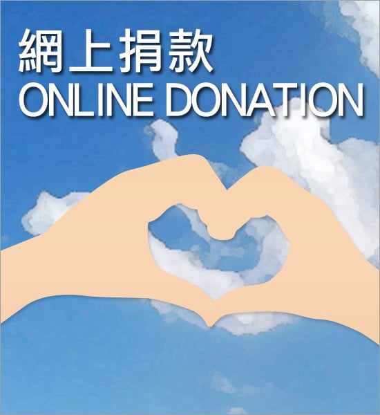 banner-550x600-2 banner-550x600-2